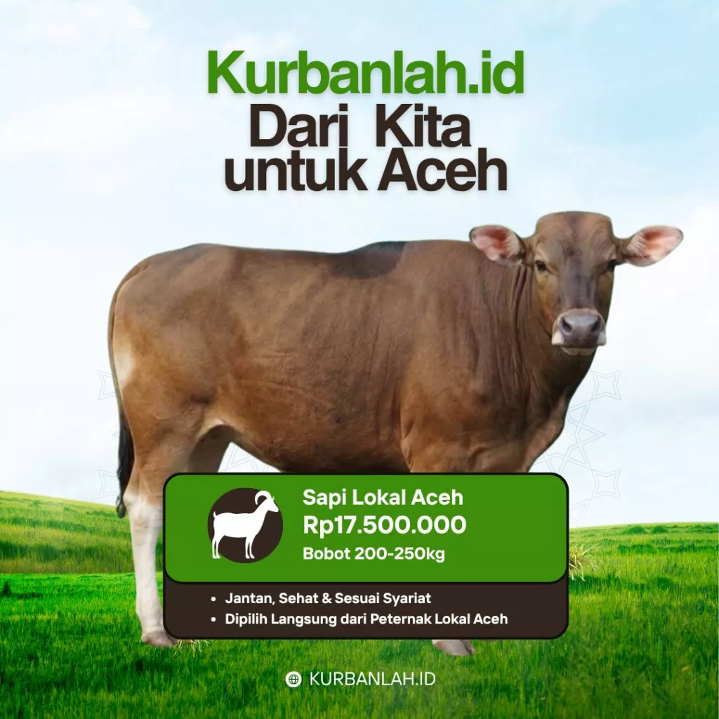 Sapi