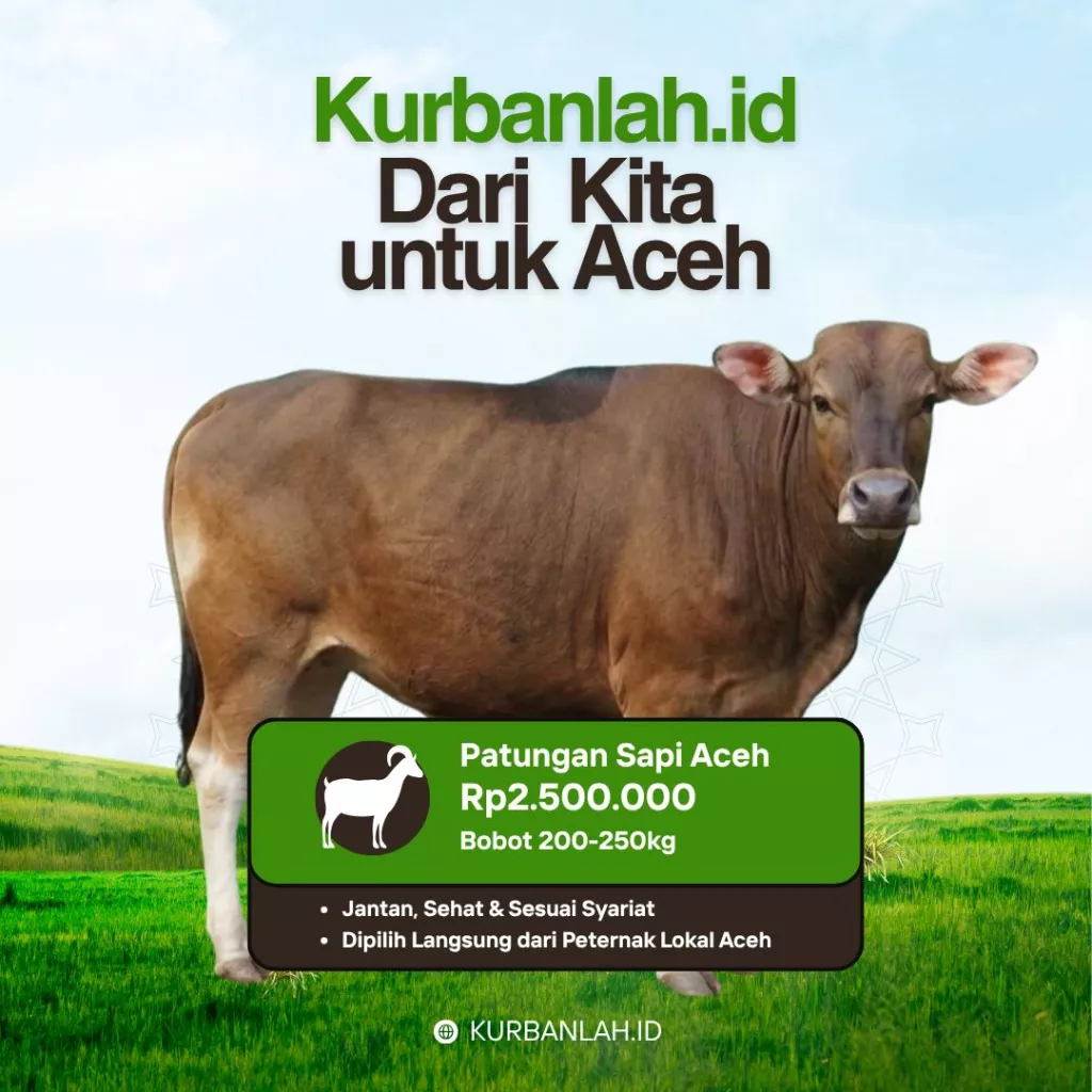 Patungan Sapi